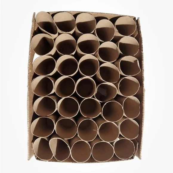 100 toilet paper cardboards for craft and art - Picture 7 of 7